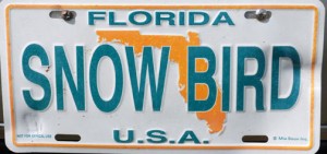 SnowBird-License-Plate
