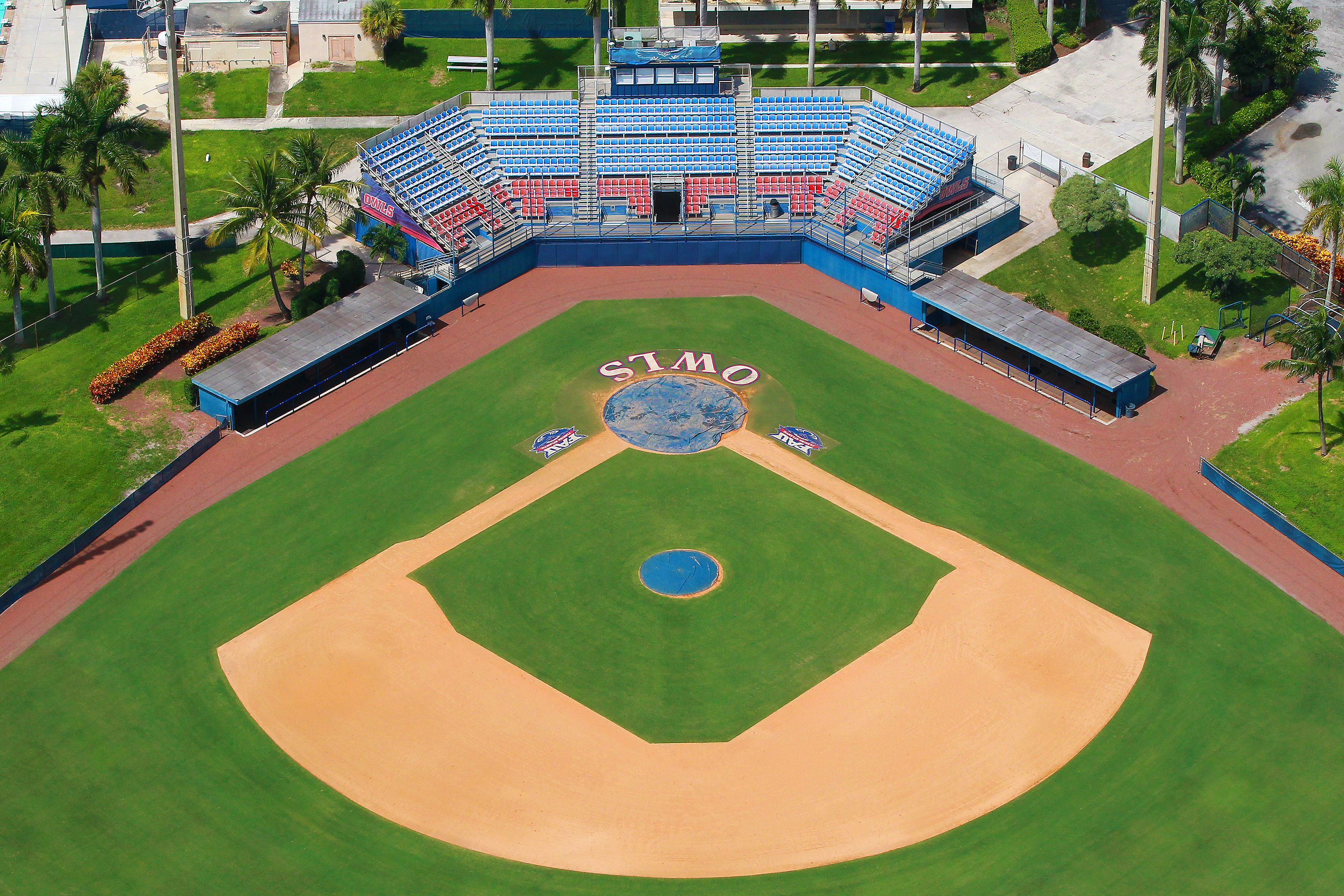 FAU Baseball Team Remain Undefeated in Home Series  Boca Raton's Most
